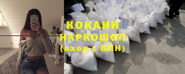 прущие грибы Алексеевка