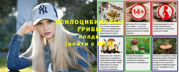 хмурый Алзамай
