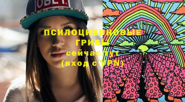 прущие грибы Алексеевка