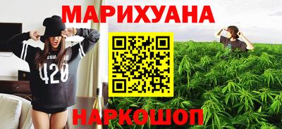 гидра Майкоп