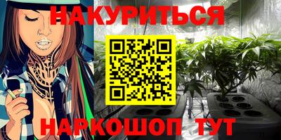 гидра Майкоп