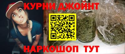 гидра Майкоп