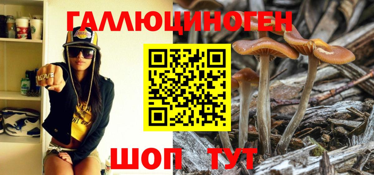 Псилоцибиновые грибы MAGIC MUSHROOMS  Вход с VPN  Арсеньев 
