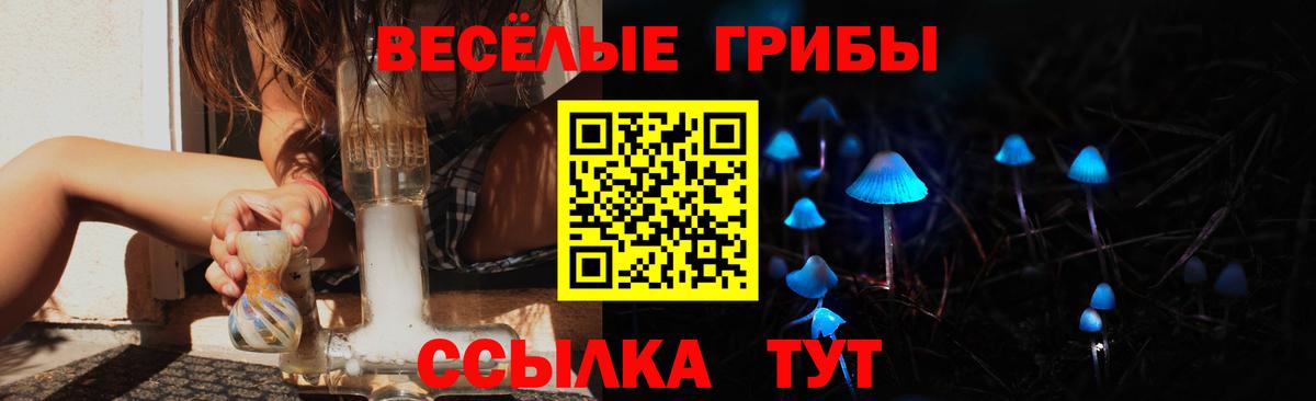 Псилоцибиновые грибы Cubensis Арсеньев